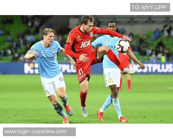 惠灵顿凤凰主场迎战墨尔本城胜利期待精彩对决与进球盛宴